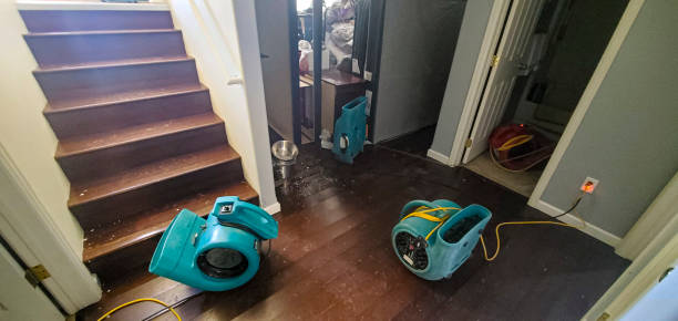 Best Ceiling water damage repair  in Jericho, NY