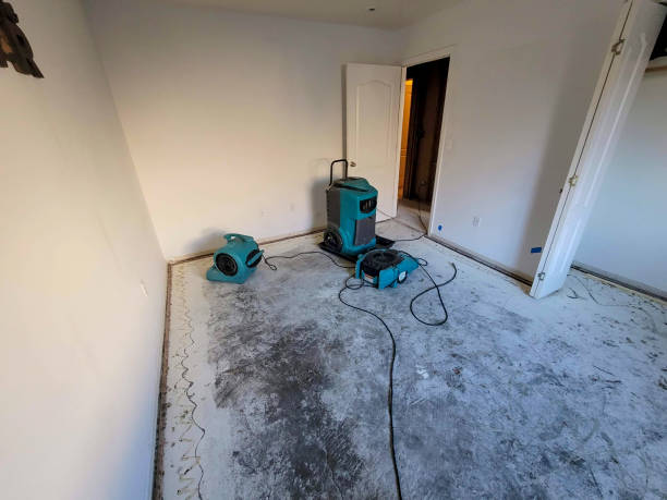 Best Basement water damage restoration  in Jericho, NY