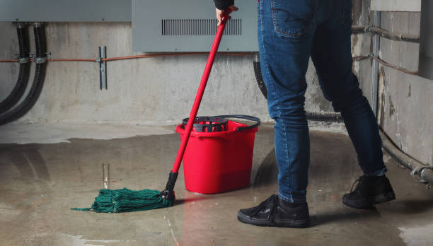 Best Local water damage restoration  in Jericho, NY
