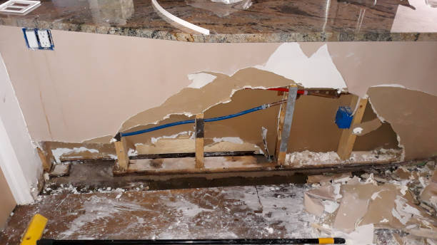 Best Mold removal after water damage  in Jericho, NY