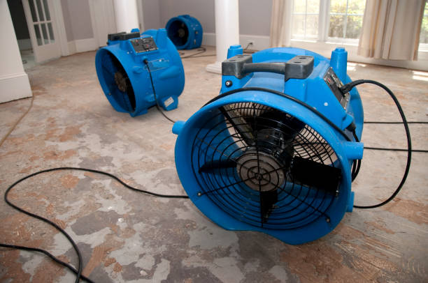 Best 24-hour water damage restoration  in Jericho, NY
