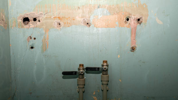 Best Water damage restoration near me  in Jericho, NY