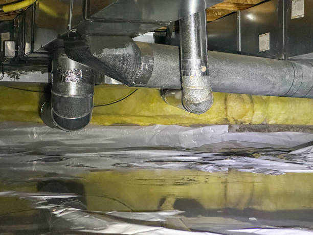 Best Flood damage cleanup  in Jericho, NY