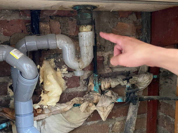 Best Flood damage cleanup  in Jericho, NY
