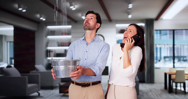 Best Water damage restoration near me  in Jericho, NY