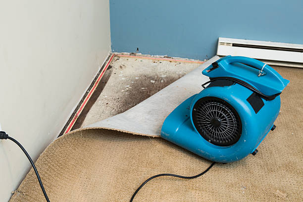 Best Water damage restoration process  in Jericho, NY